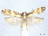  ( - CCDB-45173-D04)  @11 [ ] CreativeCommons - Attribution Share - Alike (2024) CBG Photography Group Centre for Biodiversity Genomics