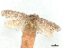  ( - CCDB-45173-D10)  @11 [ ] CreativeCommons - Attribution Share - Alike (2024) CBG Photography Group Centre for Biodiversity Genomics