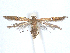  ( - CCDB-45173-G04)  @11 [ ] CreativeCommons - Attribution Share - Alike (2024) CBG Photography Group Centre for Biodiversity Genomics