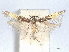  ( - CCDB-45173-G11)  @11 [ ] CreativeCommons - Attribution Share - Alike (2024) CBG Photography Group Centre for Biodiversity Genomics