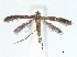 ( - CCDB-45173-H07)  @11 [ ] CreativeCommons - Attribution Share - Alike (2024) CBG Photography Group Centre for Biodiversity Genomics
