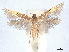  ( - CCDB-45173-H11)  @11 [ ] CreativeCommons - Attribution Share - Alike (2024) CBG Photography Group Centre for Biodiversity Genomics