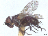  ( - CCDB-45174-C05)  @11 [ ] CreativeCommons - Attribution (2024) CBG Photography Group Centre for Biodiversity Genomics