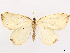  ( - CCDB-45175-E10)  @11 [ ] CreativeCommons - Attribution (2024) CBG Photography Group Centre for Biodiversity Genomics