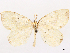  ( - CCDB-45175-E11)  @11 [ ] CreativeCommons - Attribution (2024) CBG Photography Group Centre for Biodiversity Genomics