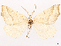  ( - CCDB-45175-F07)  @11 [ ] CreativeCommons - Attribution (2024) CBG Photography Group Centre for Biodiversity Genomics