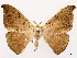  ( - CCDB-45175-H04)  @11 [ ] CreativeCommons - Attribution (2024) CBG Photography Group Centre for Biodiversity Genomics