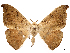  ( - CCDB-45175-H04)  @11 [ ] CreativeCommons - Attribution (2024) CBG Photography Group Centre for Biodiversity Genomics
