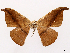  ( - CCDB-45175-H05)  @11 [ ] CreativeCommons - Attribution (2024) CBG Photography Group Centre for Biodiversity Genomics