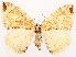  ( - CCDB-45179-A02)  @11 [ ] CreativeCommons - Attribution (2024) CBG Photography Group Centre for Biodiversity Genomics