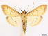  ( - CCDB-45179-C07)  @11 [ ] CreativeCommons - Attribution (2024) CBG Photography Group Centre for Biodiversity Genomics
