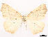  ( - CCDB-45179-C11)  @11 [ ] CreativeCommons - Attribution (2024) CBG Photography Group Centre for Biodiversity Genomics