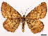  ( - CCDB-45179-F07)  @11 [ ] CreativeCommons - Attribution (2024) CBG Photography Group Centre for Biodiversity Genomics