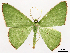  ( - CCDB-45179-G07)  @11 [ ] CreativeCommons - Attribution (2024) CBG Photography Group Centre for Biodiversity Genomics