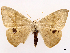  ( - CCDB-45179-H08)  @11 [ ] CreativeCommons - Attribution (2024) CBG Photography Group Centre for Biodiversity Genomics