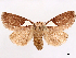  ( - CCDB-45180-G12)  @11 [ ] CreativeCommons - Attribution (2024) CBG Photography Group Centre for Biodiversity Genomics