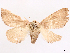  ( - CCDB-45180-H04)  @11 [ ] CreativeCommons - Attribution (2024) CBG Photography Group Centre for Biodiversity Genomics
