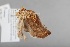  ( - CCDB-39046-E12)  @11 [ ] Unspecified (default): All Rights Reserved  Unspecified Unspecified