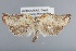  ( - CCDB-39046-F01)  @11 [ ] Unspecified (default): All Rights Reserved  Unspecified Unspecified