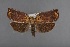  ( - CCDB-39046-F05)  @11 [ ] Unspecified (default): All Rights Reserved  Unspecified Unspecified