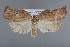  ( - CCDB-39046-F07)  @11 [ ] Unspecified (default): All Rights Reserved  Unspecified Unspecified