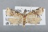  ( - CCDB-39046-H01)  @11 [ ] Unspecified (default): All Rights Reserved  Unspecified Unspecified