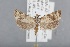  ( - CCDB-39046-H02)  @11 [ ] Unspecified (default): All Rights Reserved  Unspecified Unspecified