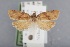  ( - CCDB-39046-H05)  @11 [ ] Unspecified (default): All Rights Reserved  Unspecified Unspecified