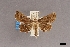  ( - USNM ENT 01921139)  @11 [ ] (by-nc-sa)  Unspecified Unspecified