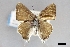  ( - USNM ENT 01921173)  @11 [ ] (by-nc-sa)  Unspecified Unspecified