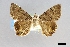  ( - USNM ENT 01921180)  @11 [ ] (by-nc-sa)  Unspecified Unspecified