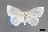  ( - USNM ENT 01921195)  @11 [ ] (by-nc-sa)  Unspecified Unspecified