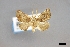  ( - USNM ENT 01921276)  @11 [ ] (by-nc-sa)  Unspecified Unspecified
