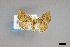  ( - USNM ENT 01921277)  @11 [ ] (by-nc-sa)  Unspecified Unspecified