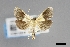  ( - USNM ENT 01921305)  @11 [ ] (by-nc-sa)  Unspecified Unspecified
