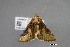  ( - USNM ENT 01921472)  @11 [ ] Unspecified (default): All Rights Reserved  Unspecified Unspecified