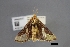  ( - USNM ENT 01921473)  @11 [ ] Unspecified (default): All Rights Reserved  Unspecified Unspecified