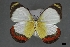  ( - USNM ENT 01921551)  @11 [ ] Unspecified (default): All Rights Reserved  Unspecified Unspecified