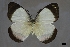  ( - USNM ENT 01921552)  @11 [ ] Unspecified (default): All Rights Reserved  Unspecified Unspecified