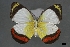  ( - USNM ENT 01921552)  @11 [ ] Unspecified (default): All Rights Reserved  Unspecified Unspecified