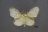  ( - USNM ENT 01921582)  @11 [ ] Unspecified (default): All Rights Reserved  Unspecified Unspecified