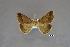  ( - USNM ENT 01921586)  @11 [ ] Unspecified (default): All Rights Reserved  Unspecified Unspecified