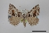  ( - USNM ENT 01921729)  @11 [ ] Unspecified (default): All Rights Reserved  Unspecified Unspecified