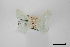 ( - USNM ENT 01921889)  @11 [ ] Unspecified (default): All Rights Reserved  Unspecified Unspecified