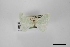  ( - USNM ENT 01921892)  @11 [ ] Unspecified (default): All Rights Reserved  Unspecified Unspecified