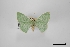  ( - USNM ENT 01921898)  @11 [ ] Unspecified (default): All Rights Reserved  Unspecified Unspecified