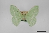  ( - USNM ENT 01921901)  @11 [ ] Unspecified (default): All Rights Reserved  Unspecified Unspecified