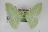  ( - USNM ENT 01921902)  @11 [ ] Unspecified (default): All Rights Reserved  Unspecified Unspecified