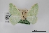  ( - USNM ENT 01921905)  @11 [ ] Unspecified (default): All Rights Reserved  Unspecified Unspecified