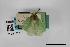  ( - USNM ENT 01921911)  @11 [ ] Unspecified (default): All Rights Reserved  Unspecified Unspecified
